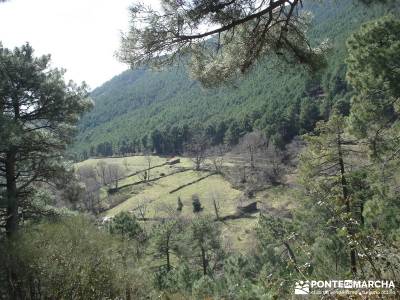 Cascadas de Gavilanes - Pedro Bernardo;senda del oso nacimiento del rio mundo crampones